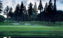My Golf