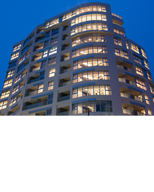 THE CONOE〈代官山〉